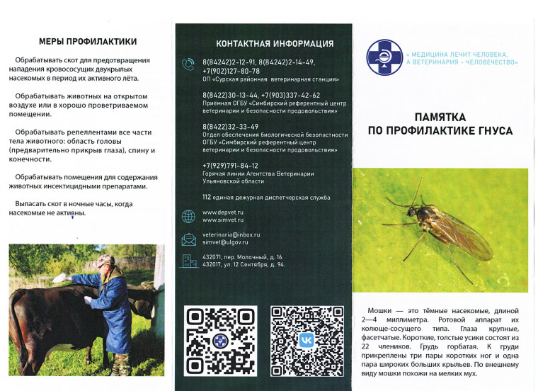 Памятка по профилактики гнуса. Памятка по профилактики гнуса.